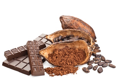 Cocoa and chocolate isolated on a white