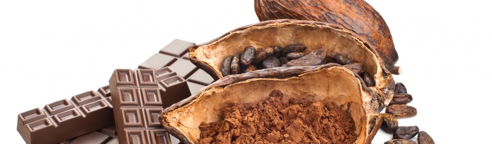Thema des Monats: Schokolade – fairgnügter Genuss?