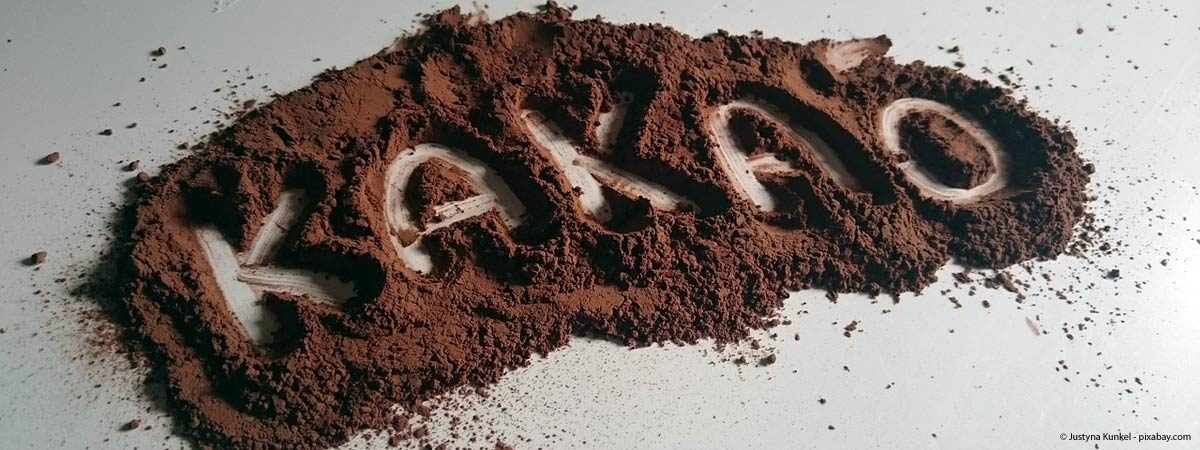 Kakao Schriftzug